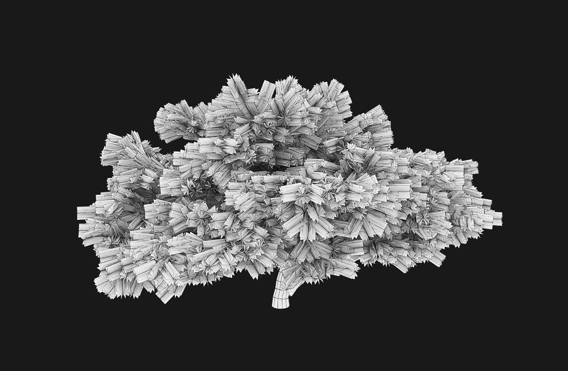 Glauca globosa 01 3D model_9