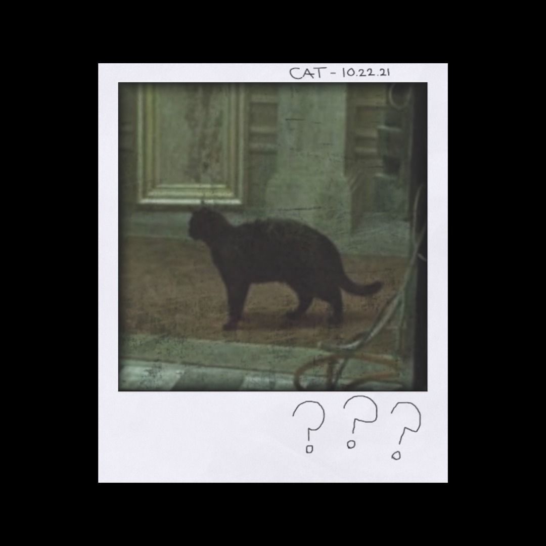 Polaroid Photos Low-poly 3D model_6