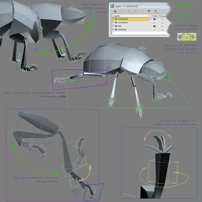 Colorado Potato Beetle 3D model_10