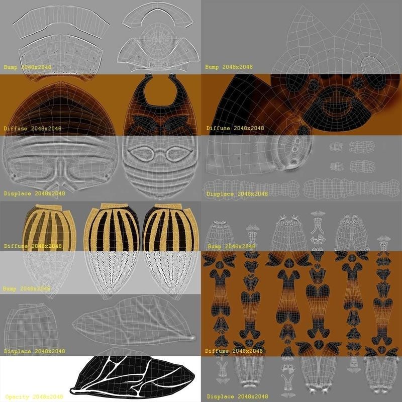 Colorado Potato Beetle 3D model_12