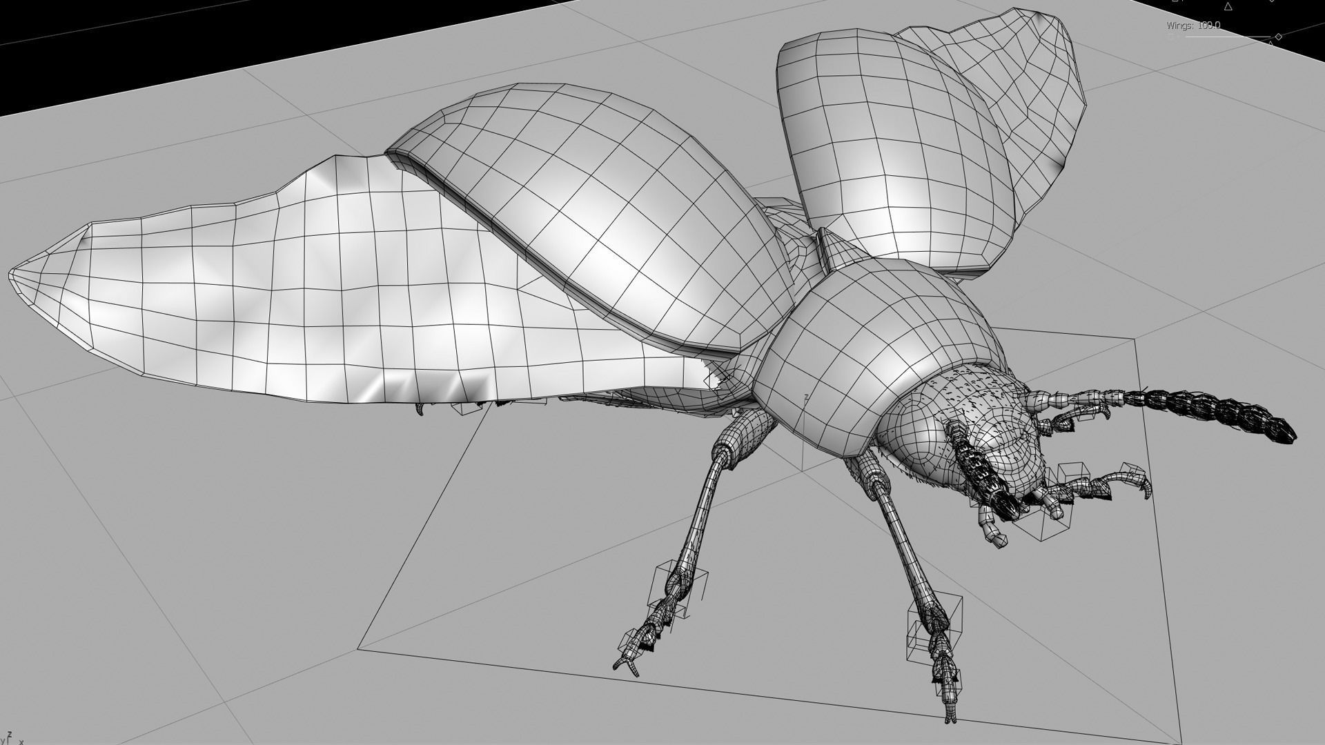 Colorado Potato Beetle 3D model_8