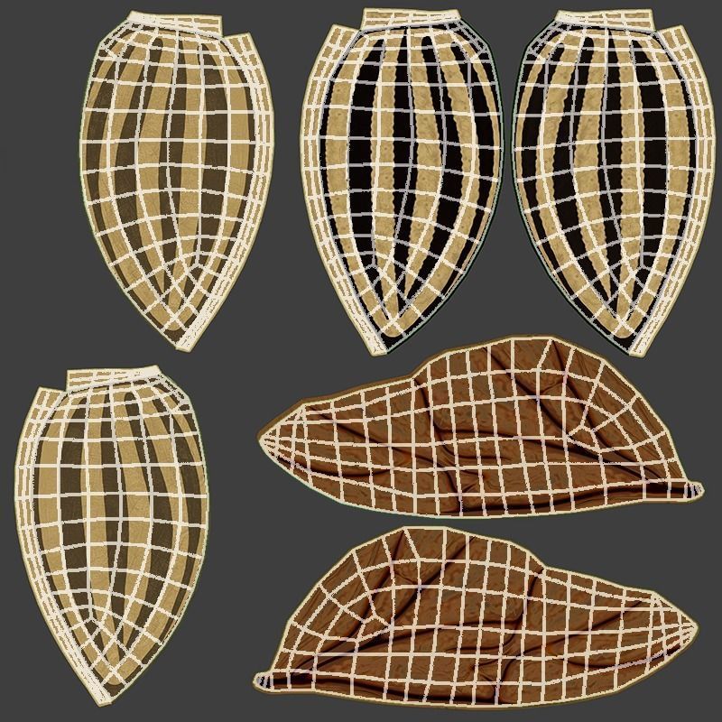 Colorado Potato Beetle 3D model_7