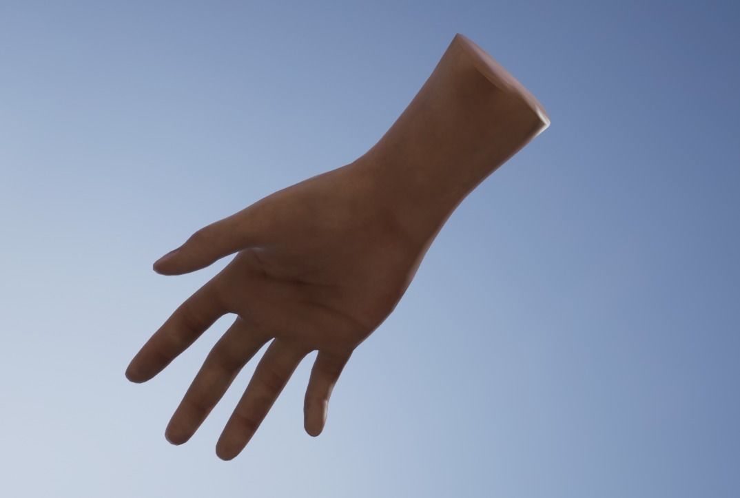 Hand for VR 3D model_3