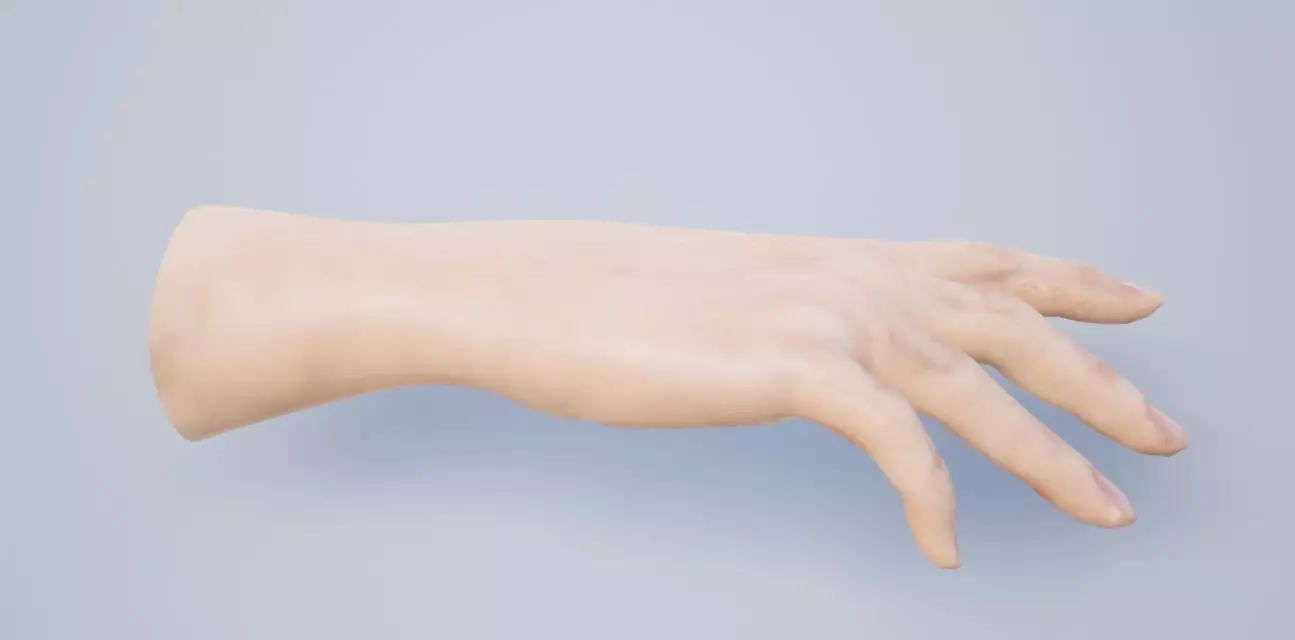 Hand for VR 3D model_0