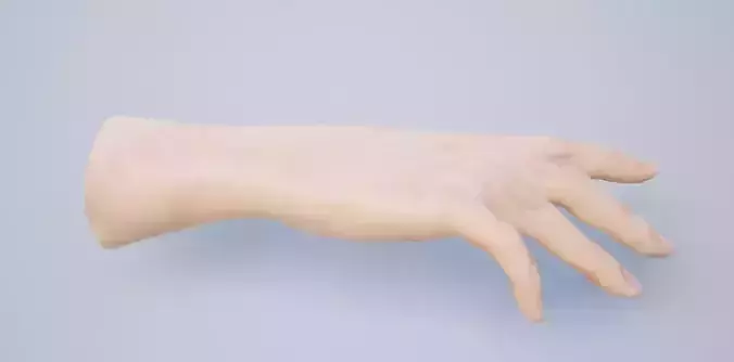 Hand for VR 3D model