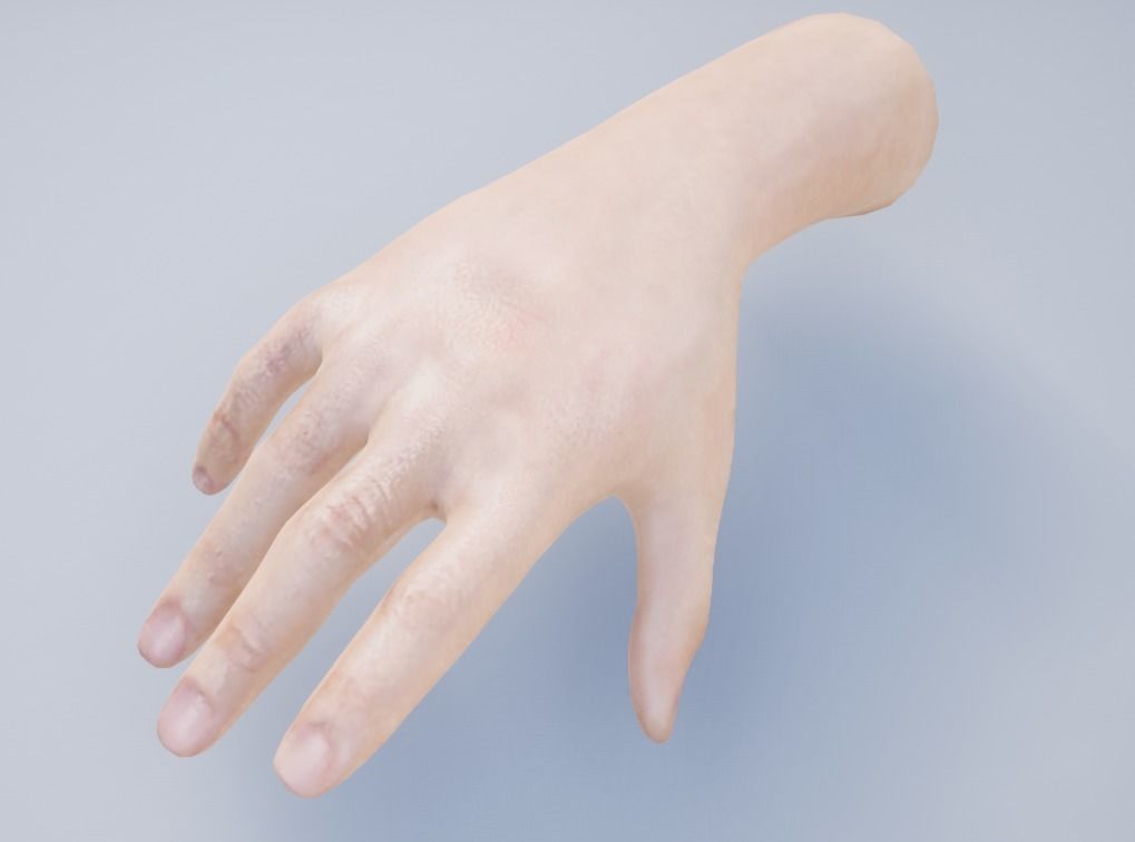 Hand for VR 3D model_1