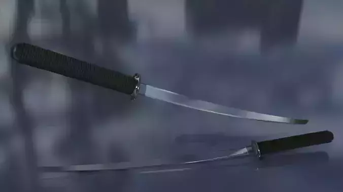 3D Sword two samurai swords