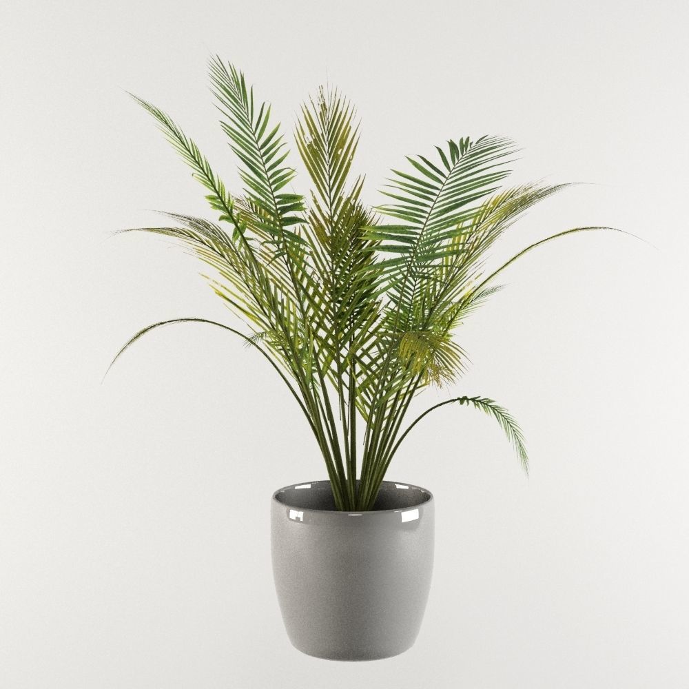 Plants Pack 3D model_2