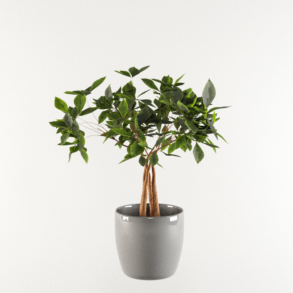 Plants Pack 3D model_1