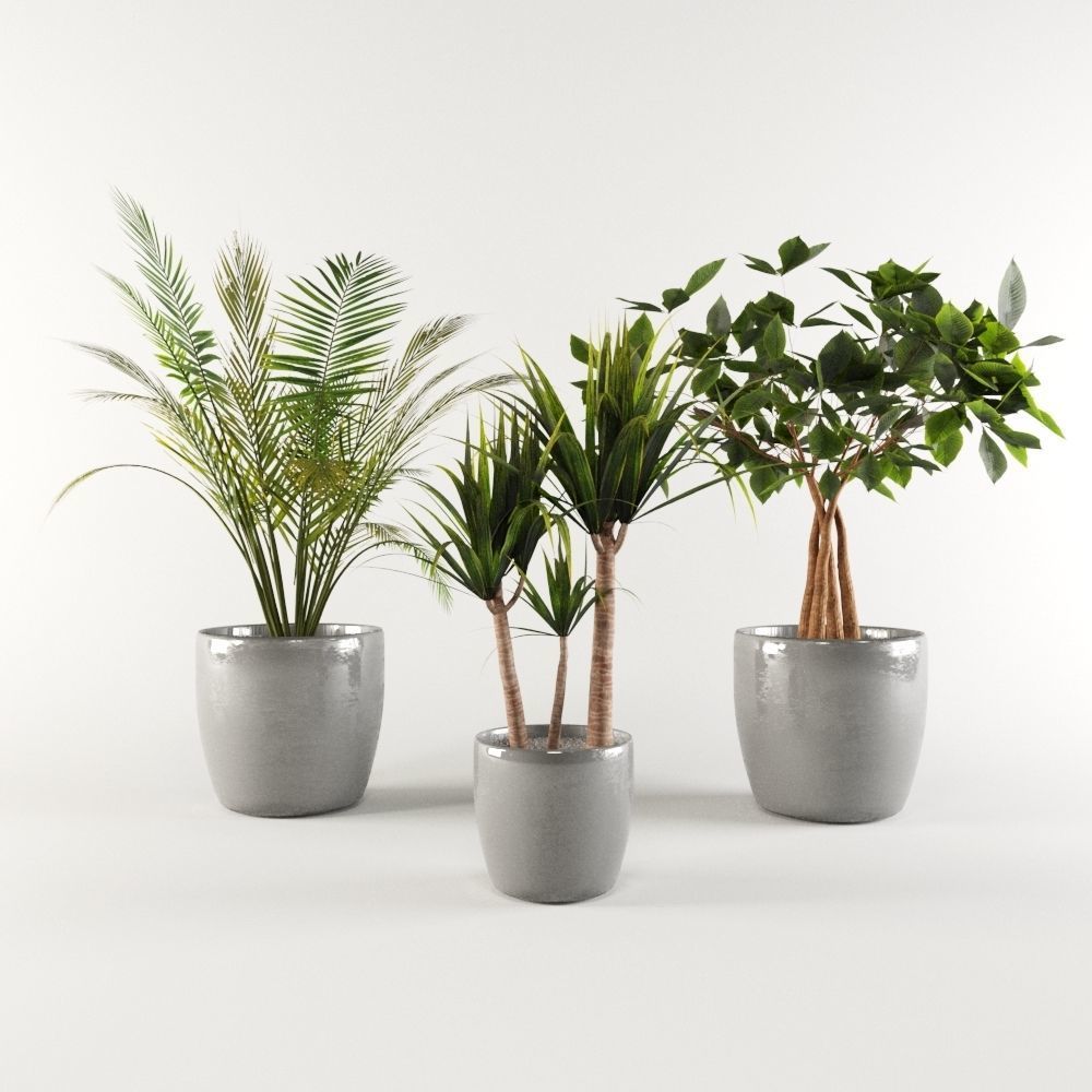 Plants Pack 3D model_3
