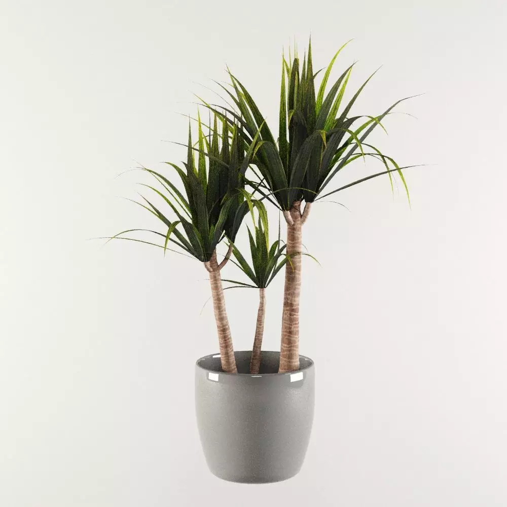 Plants Pack 3D model_0