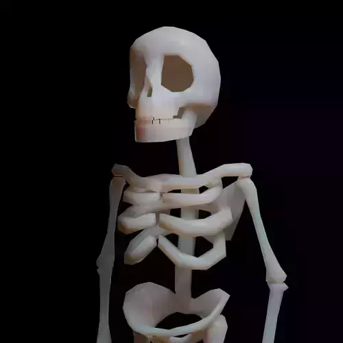 Skeleton Joe