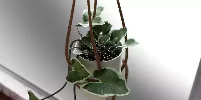 FLOWER POT MADE IN BLENDER OBJ FBX Free low-poly 3D model