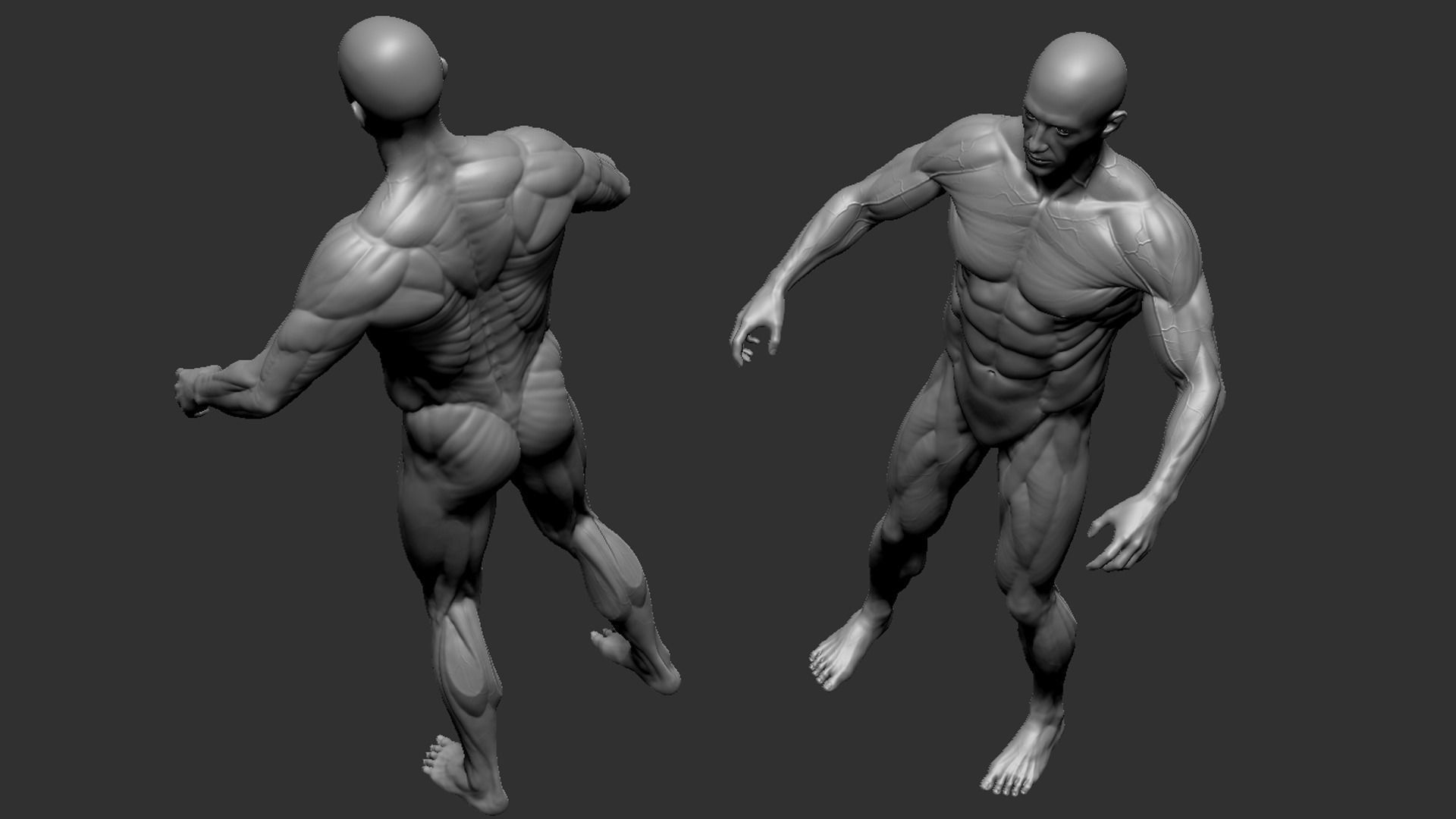 Male Base Mesh 3D model_4