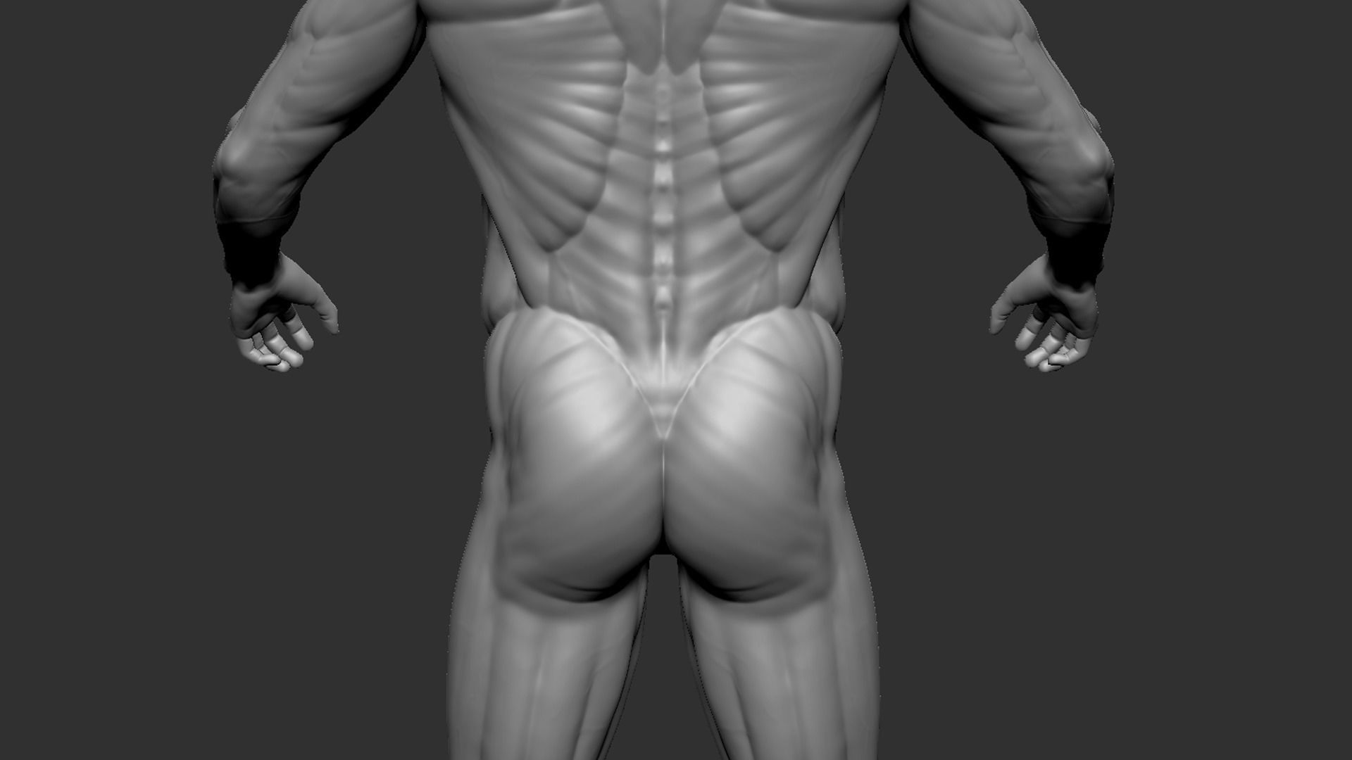 Male Base Mesh 3D model_6