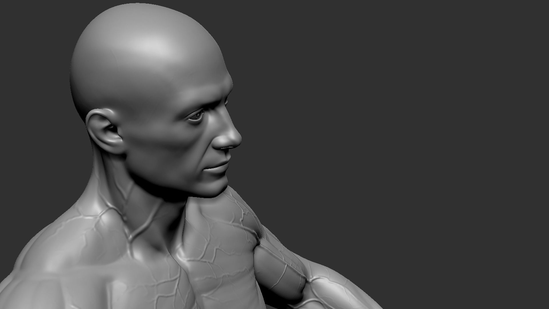 Male Base Mesh 3D model_14