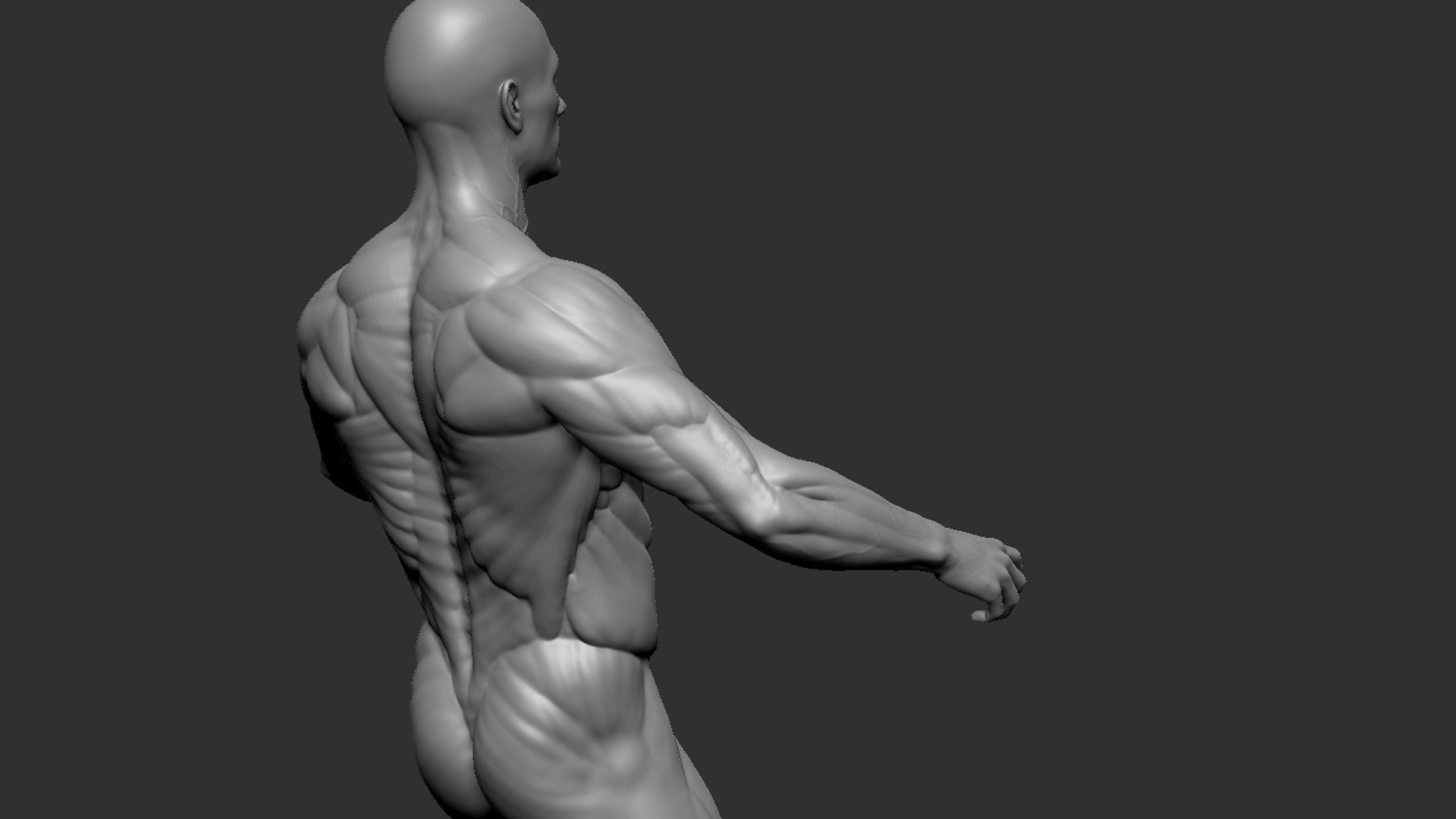 Male Base Mesh 3D model_2
