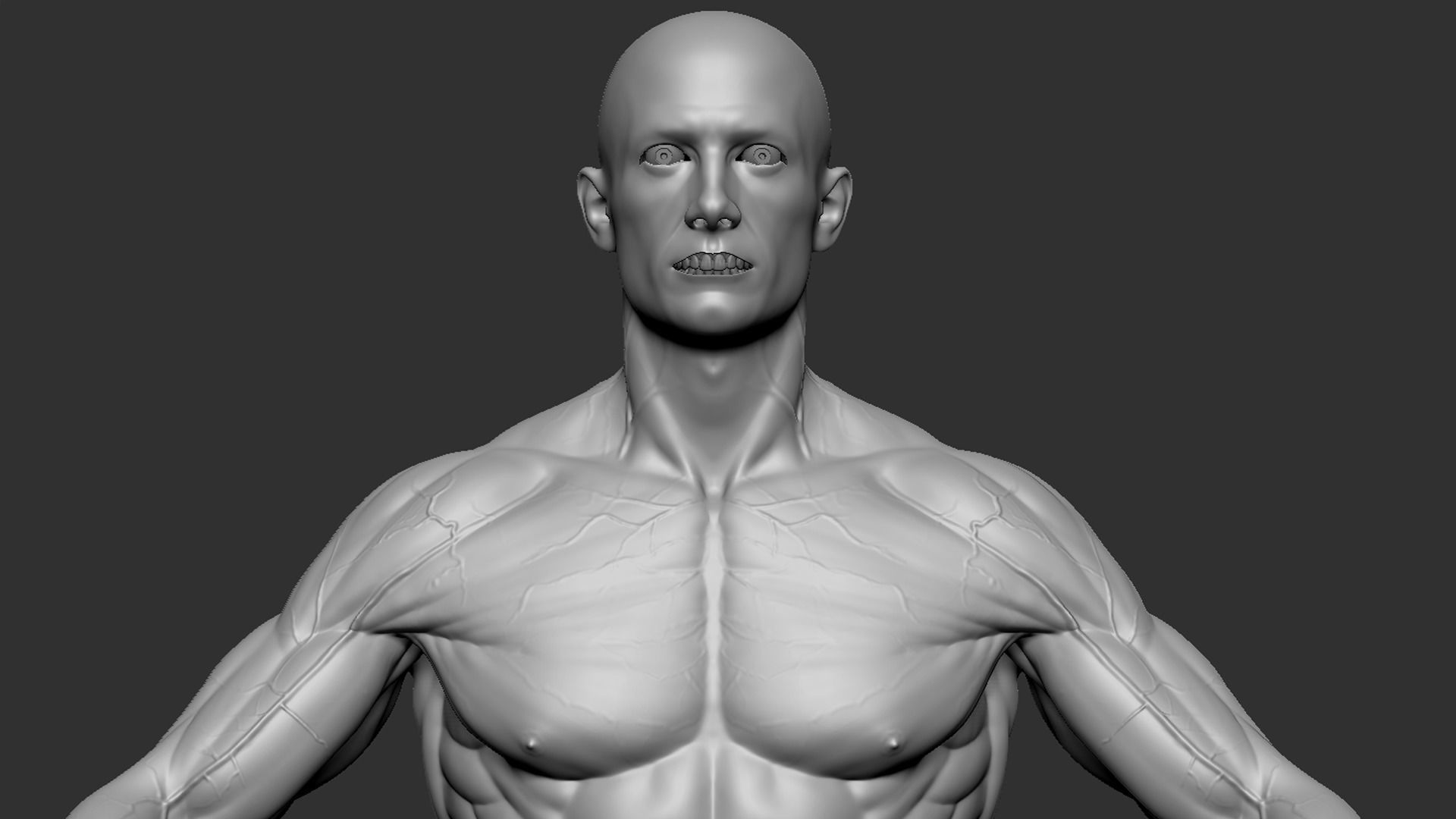 Male Base Mesh 3D model_7