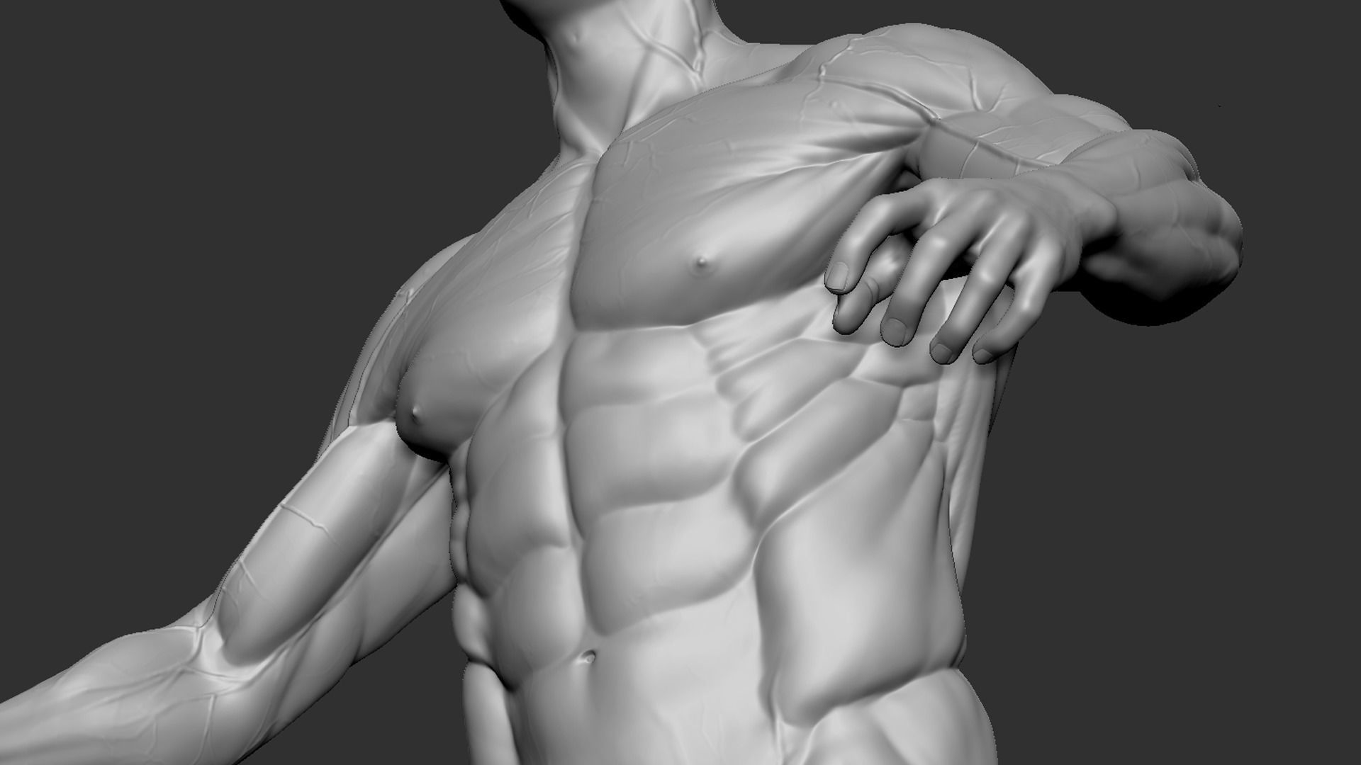 Male Base Mesh 3D model_13