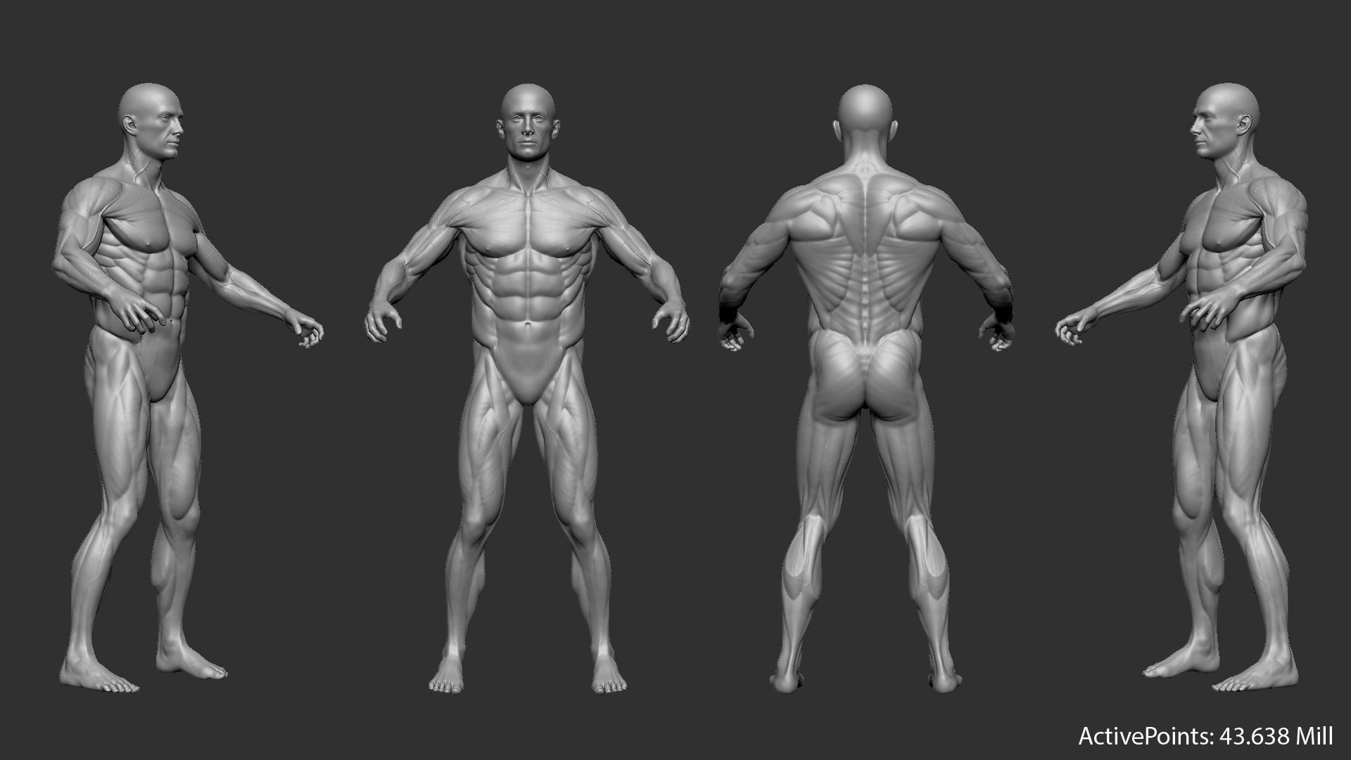 Male Base Mesh 3D model_1