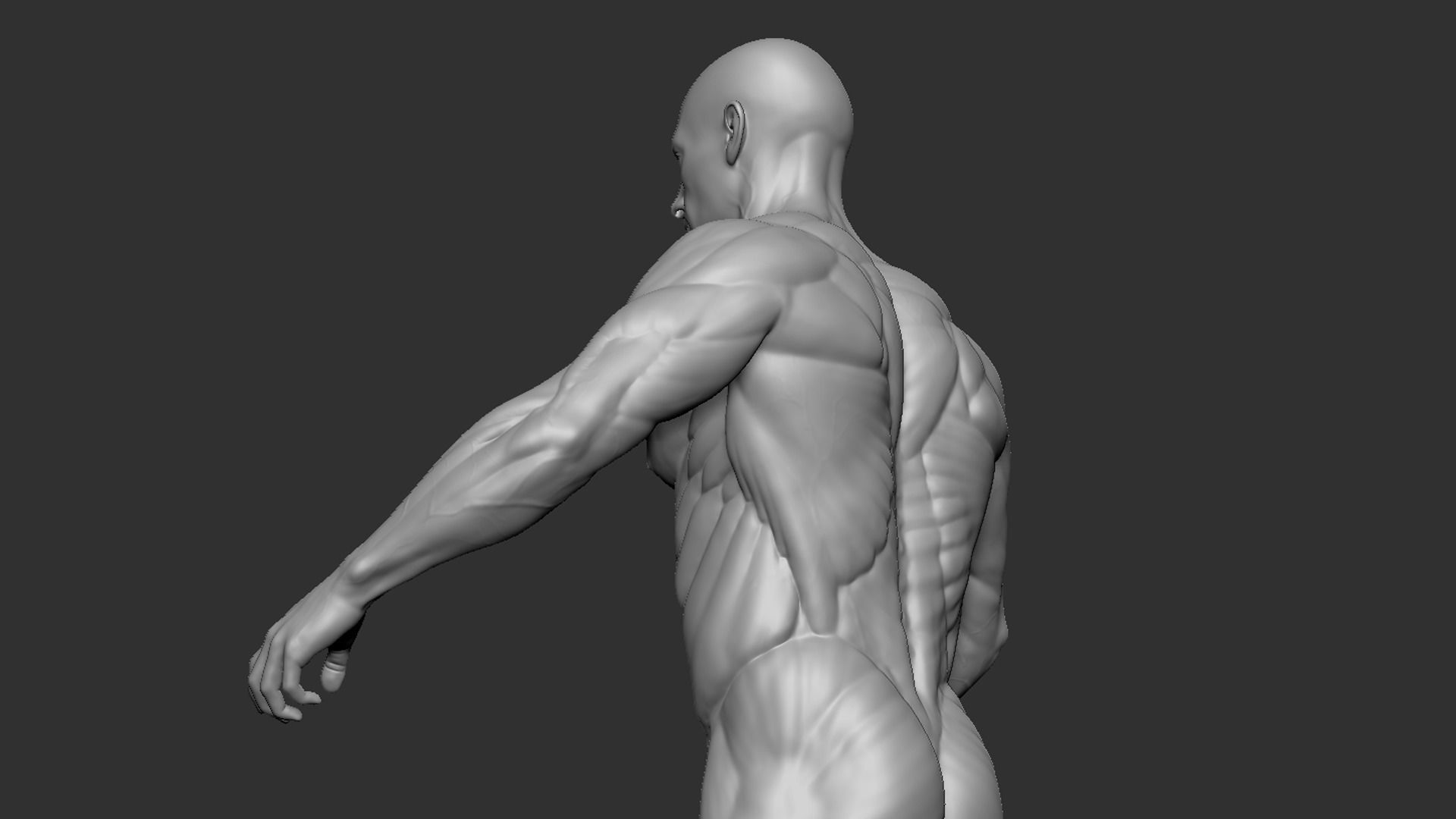 Male Base Mesh 3D model_8