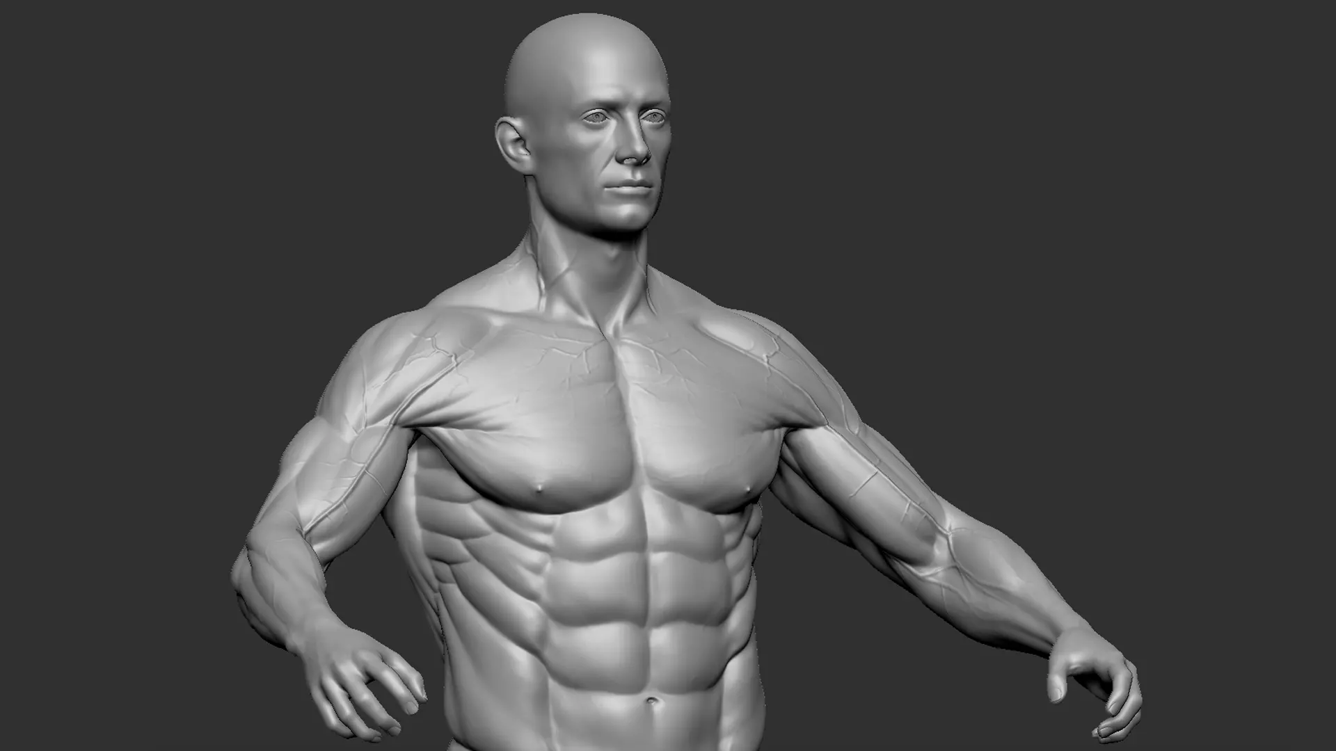 Male Base Mesh 3D model_0