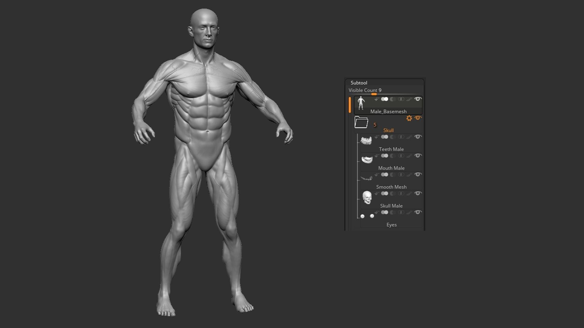 Male Base Mesh 3D model_16