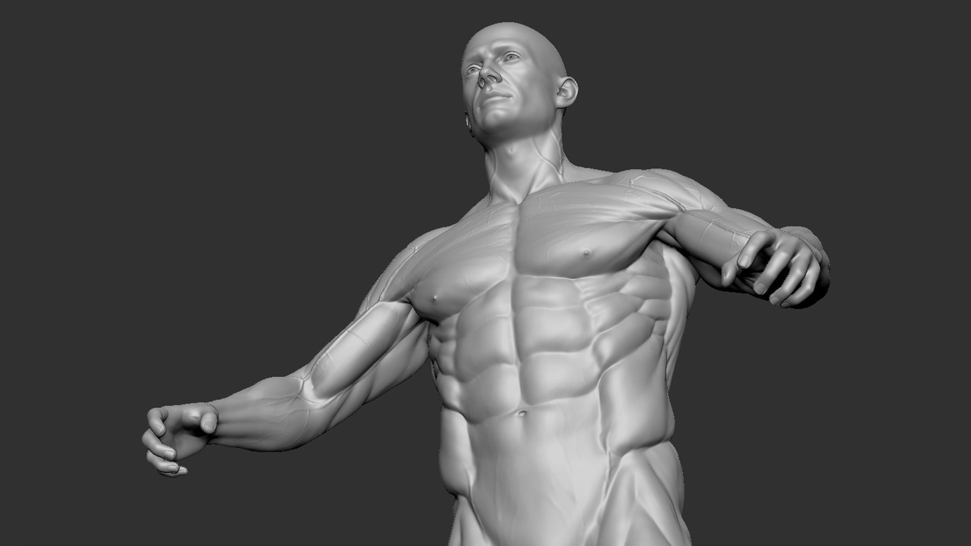 Male Base Mesh 3D model_5