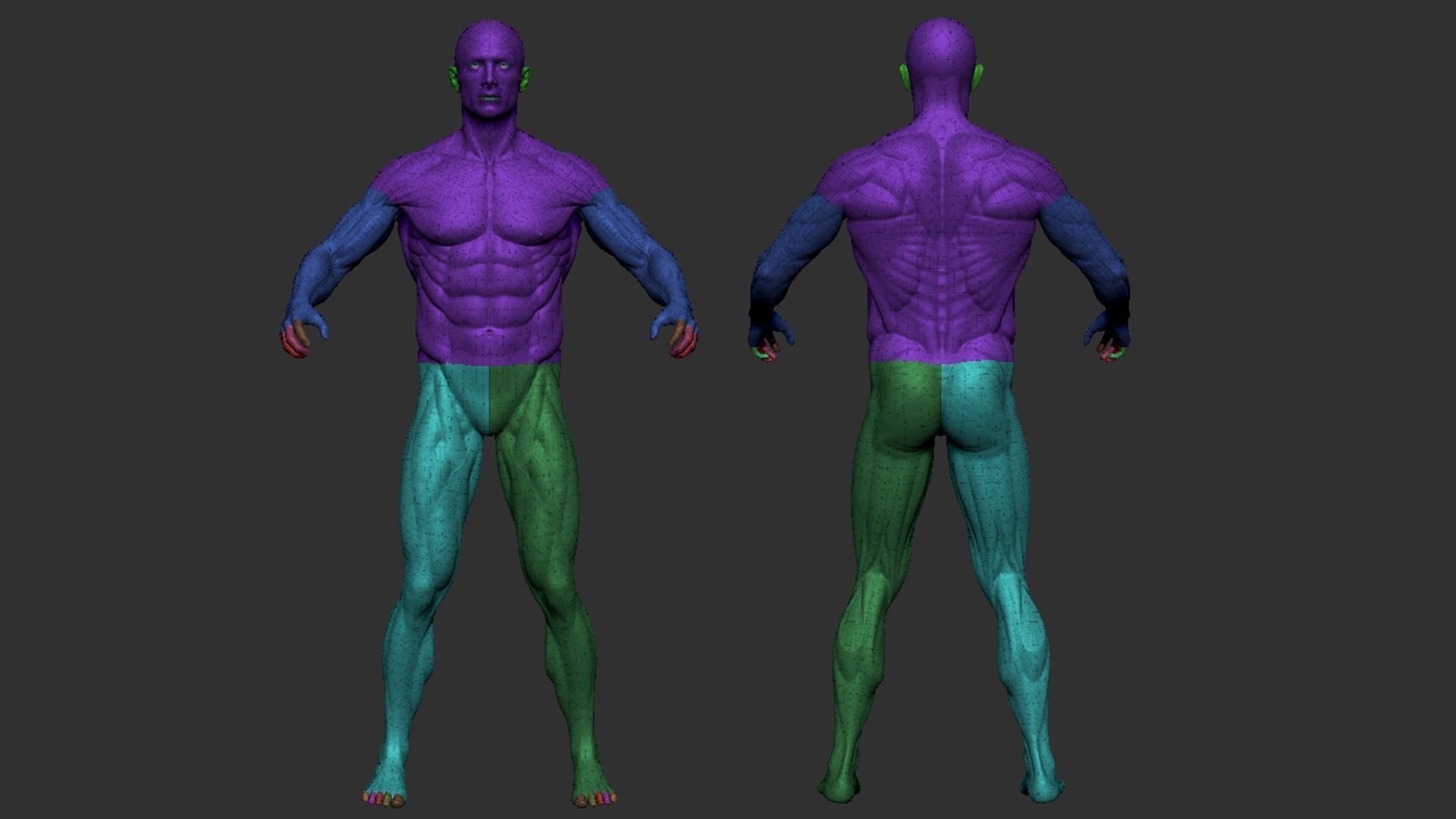 Male Base Mesh 3D model_15