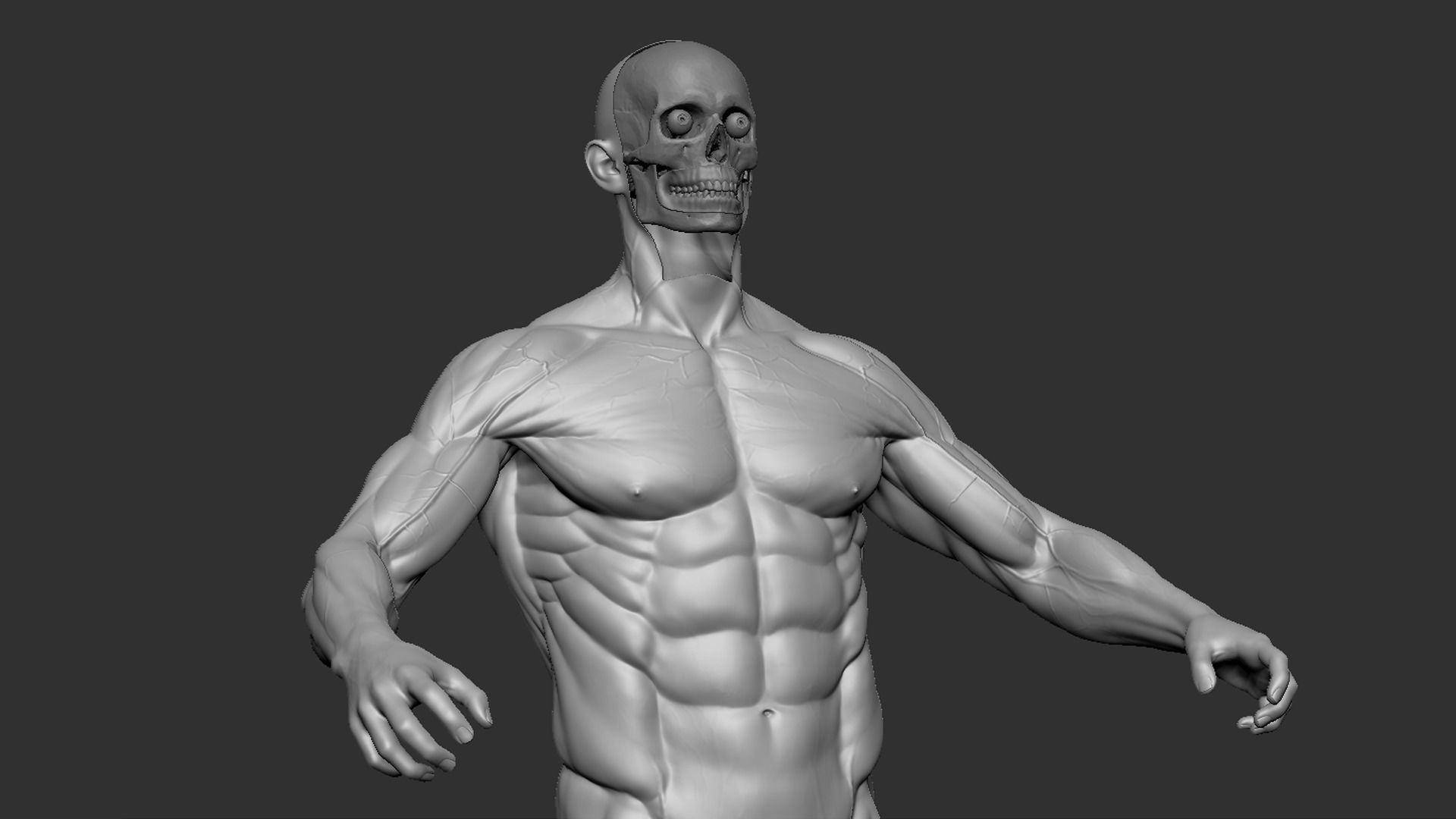 Male Base Mesh 3D model_10