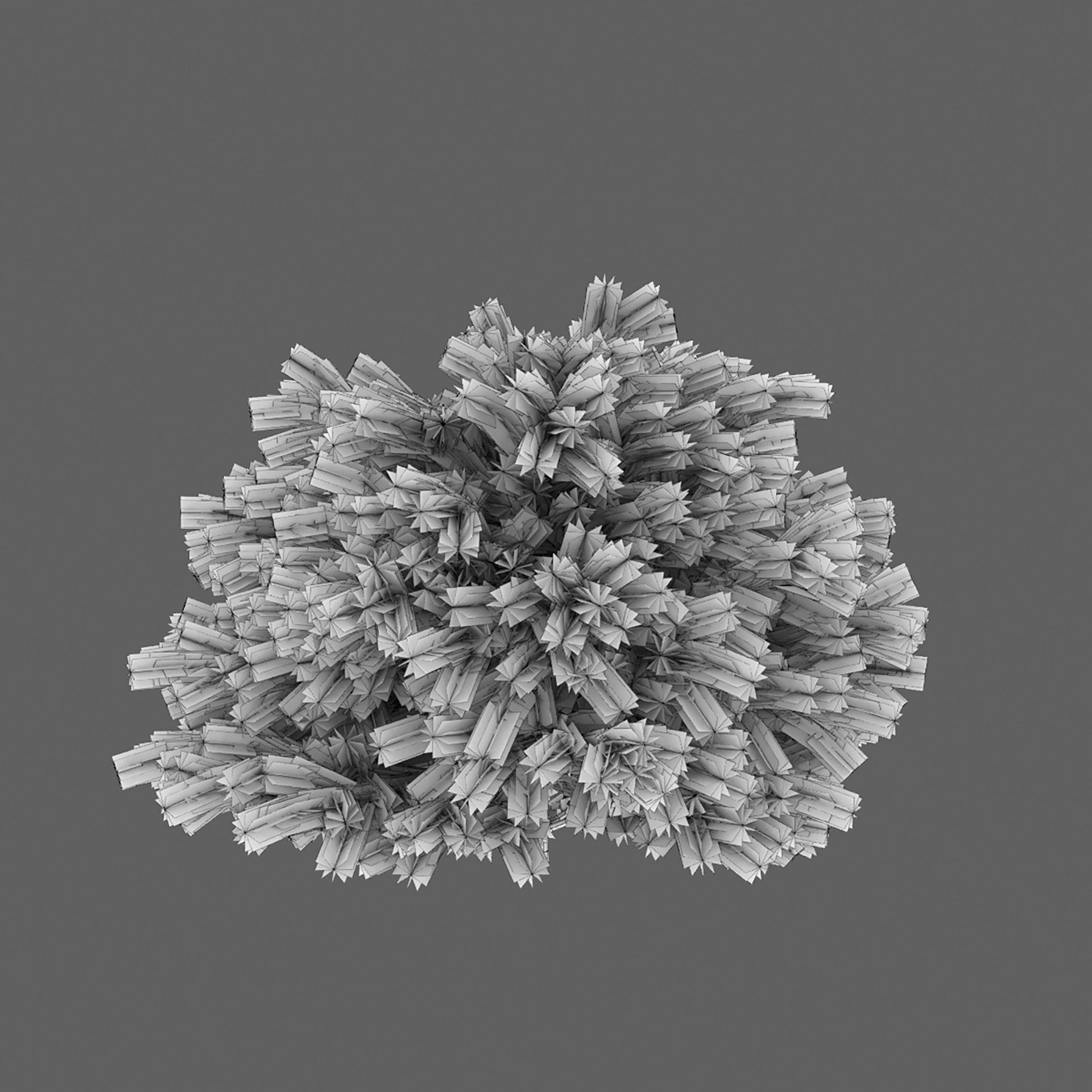 Glauca Globosa 02 3D model_6