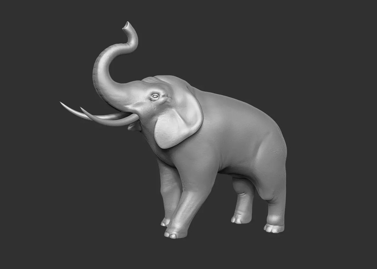 Elephant - Raise 3D print model