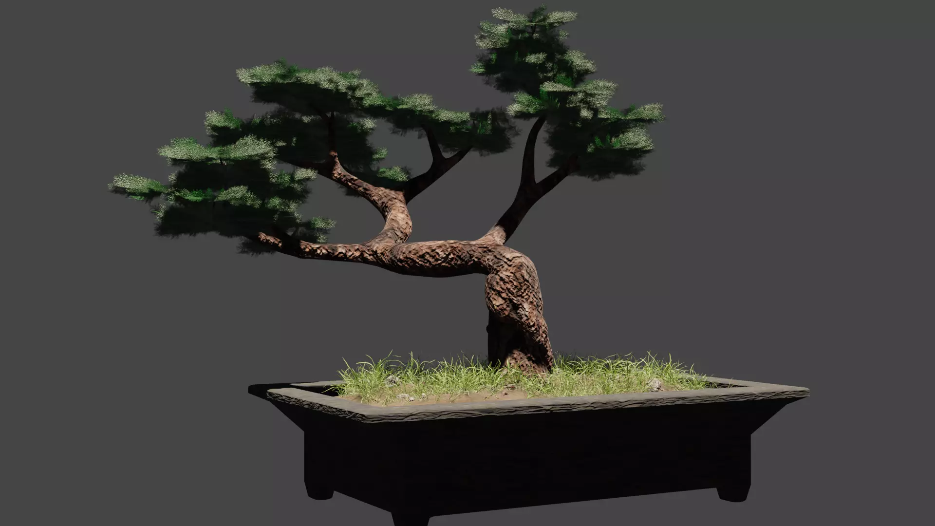 Bonsai tree 3D model_0