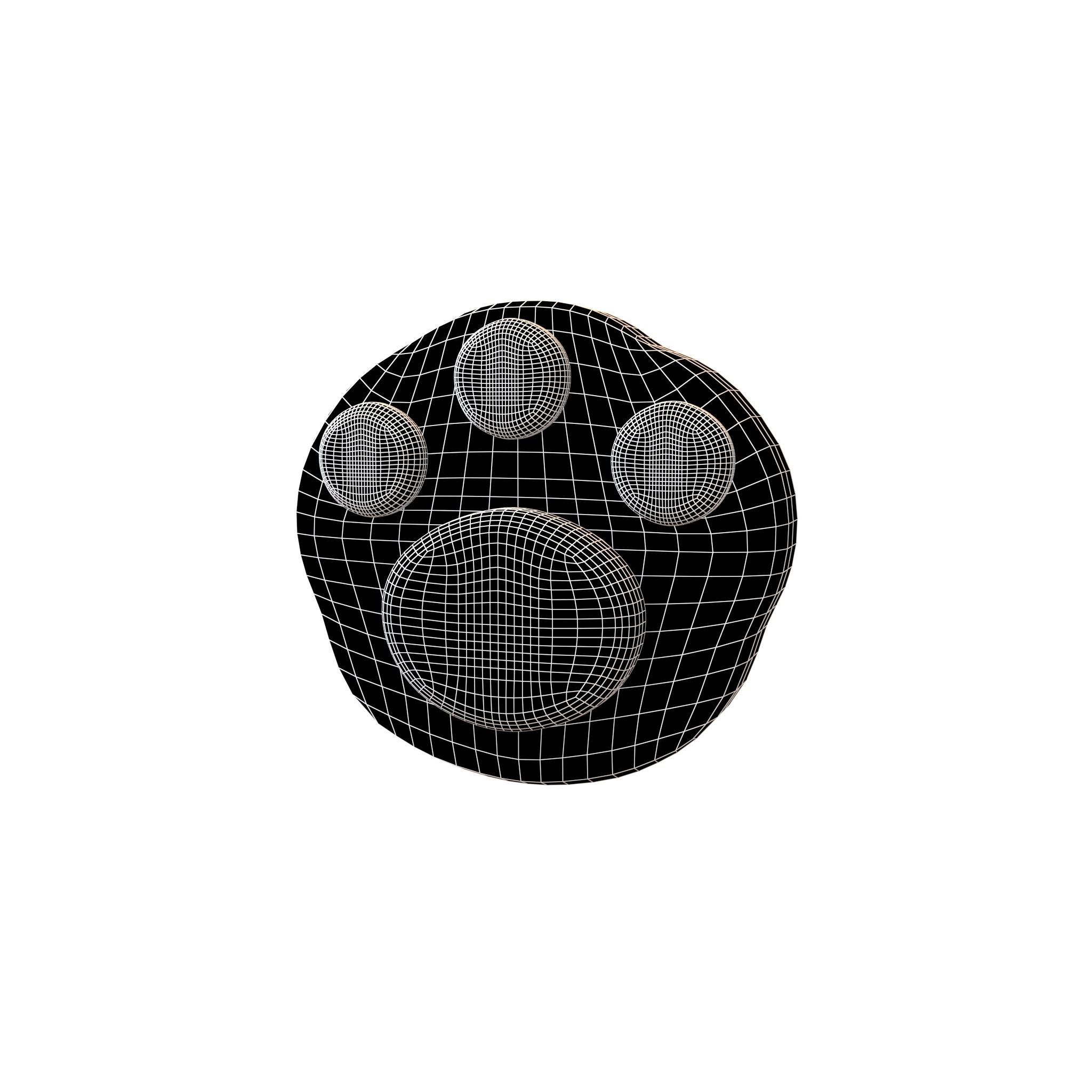 Cat Paw v1 002 Low-poly 3D model_5
