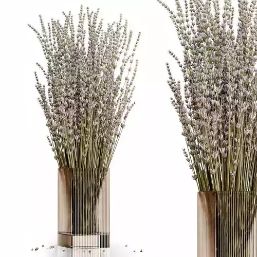 Dry flowers 5 lavender