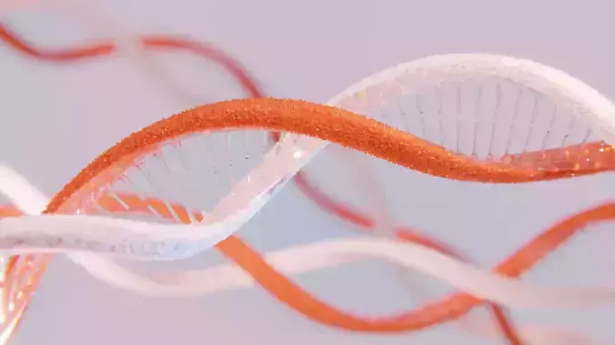 Deoxyribonucleic acid DNA 3D model