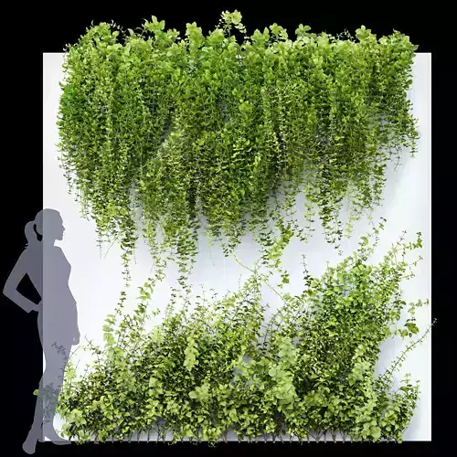 Wall Artificial Hanging Plants 01 3D model