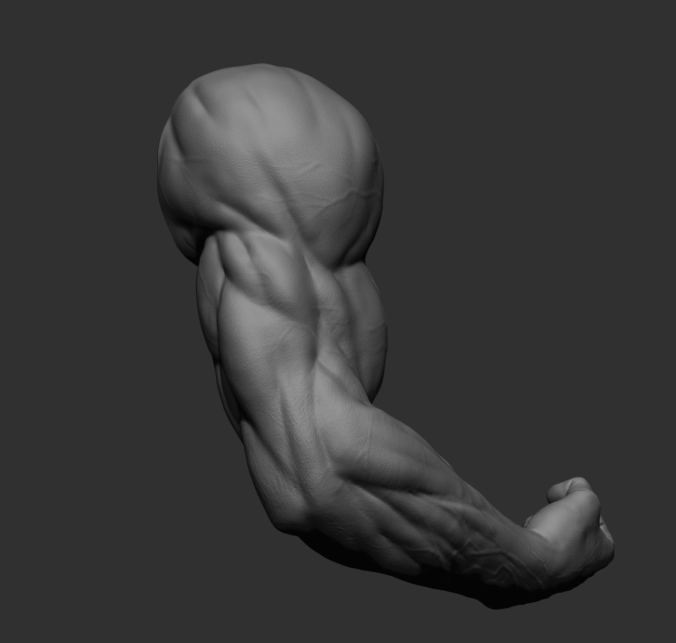 12 male arms 3D model_50