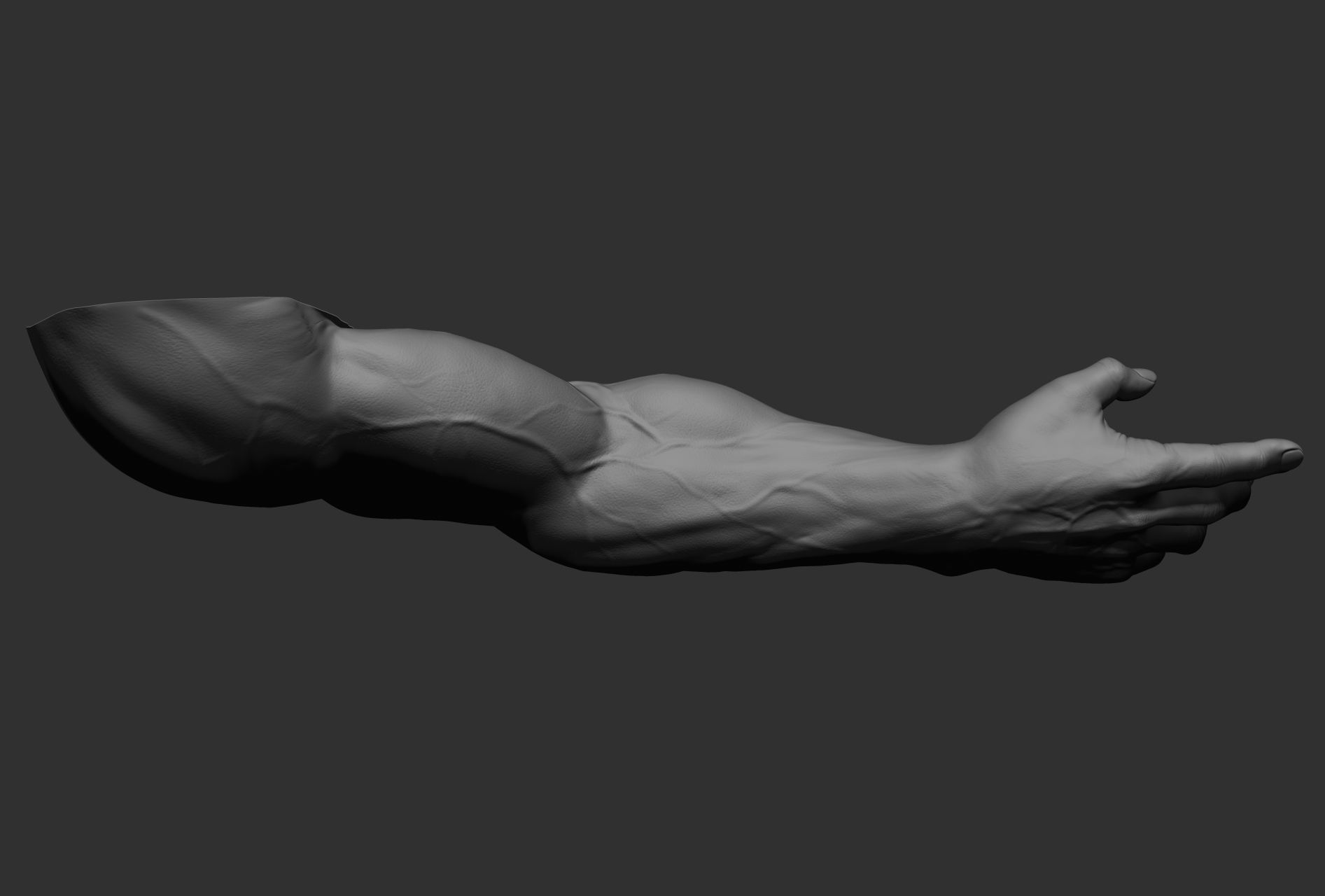 12 male arms 3D model_67