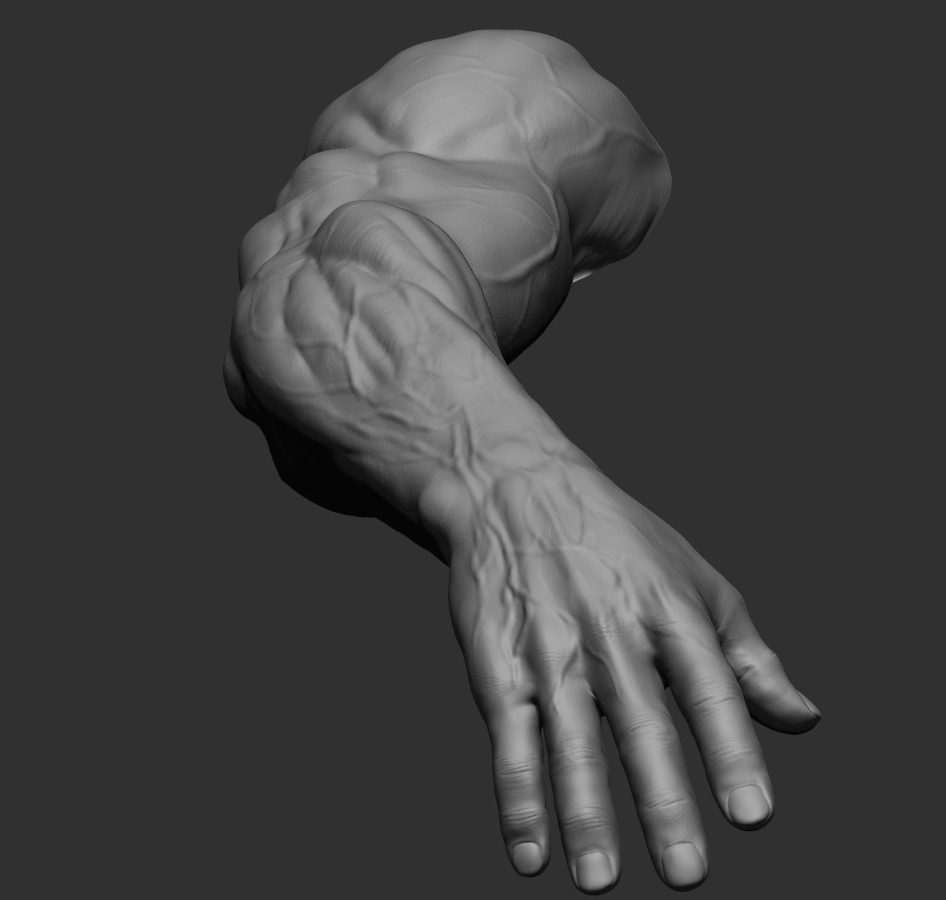 12 male arms 3D model_36