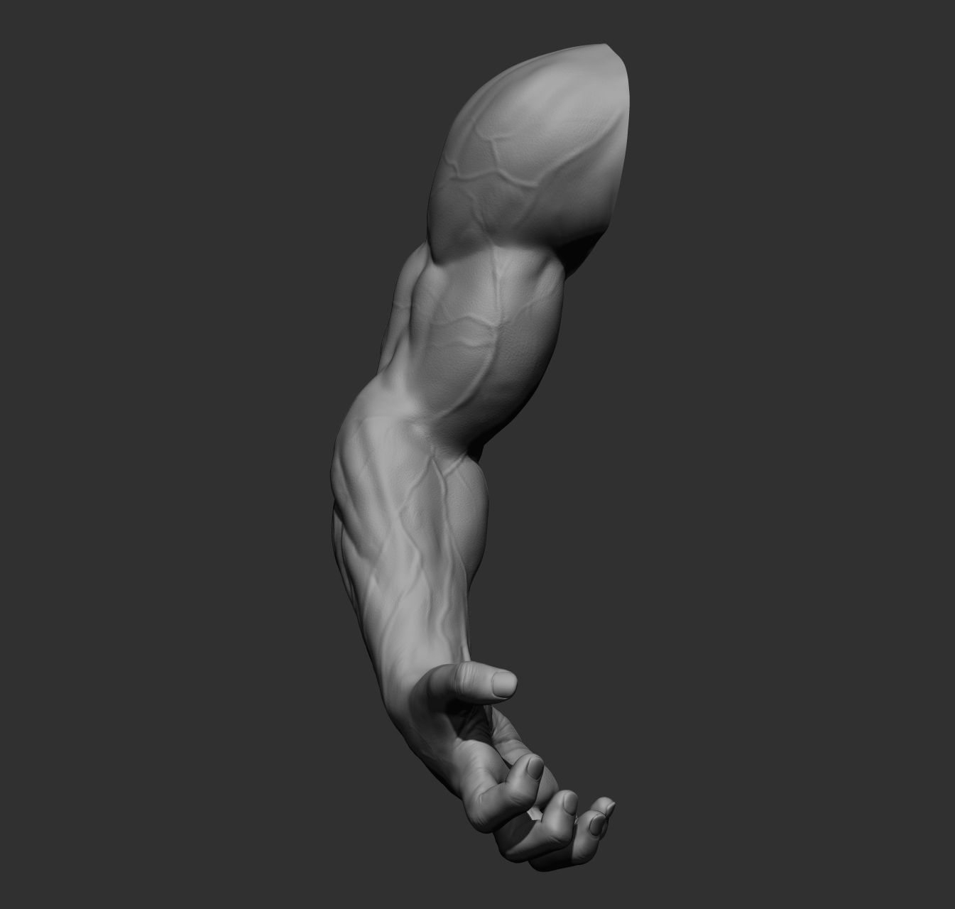 12 male arms 3D model_39