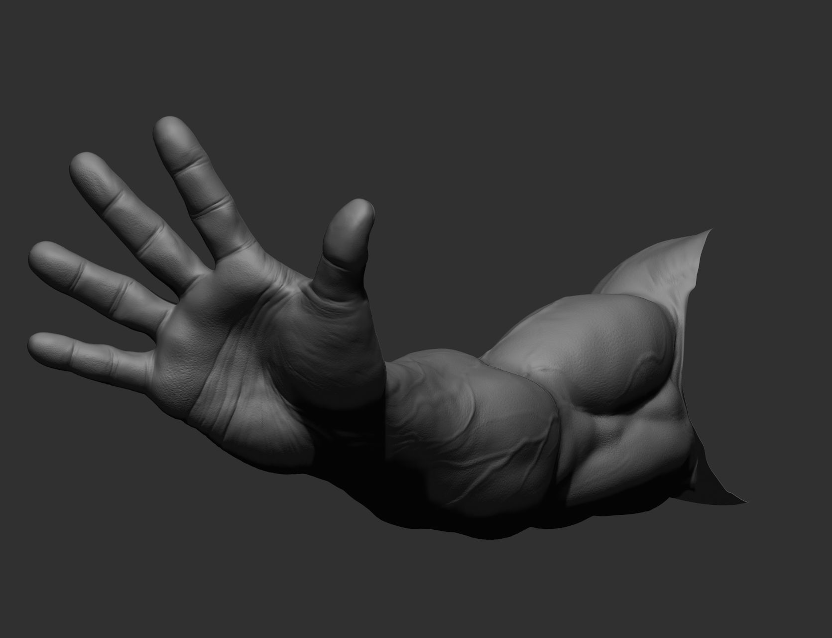 12 male arms 3D model_81