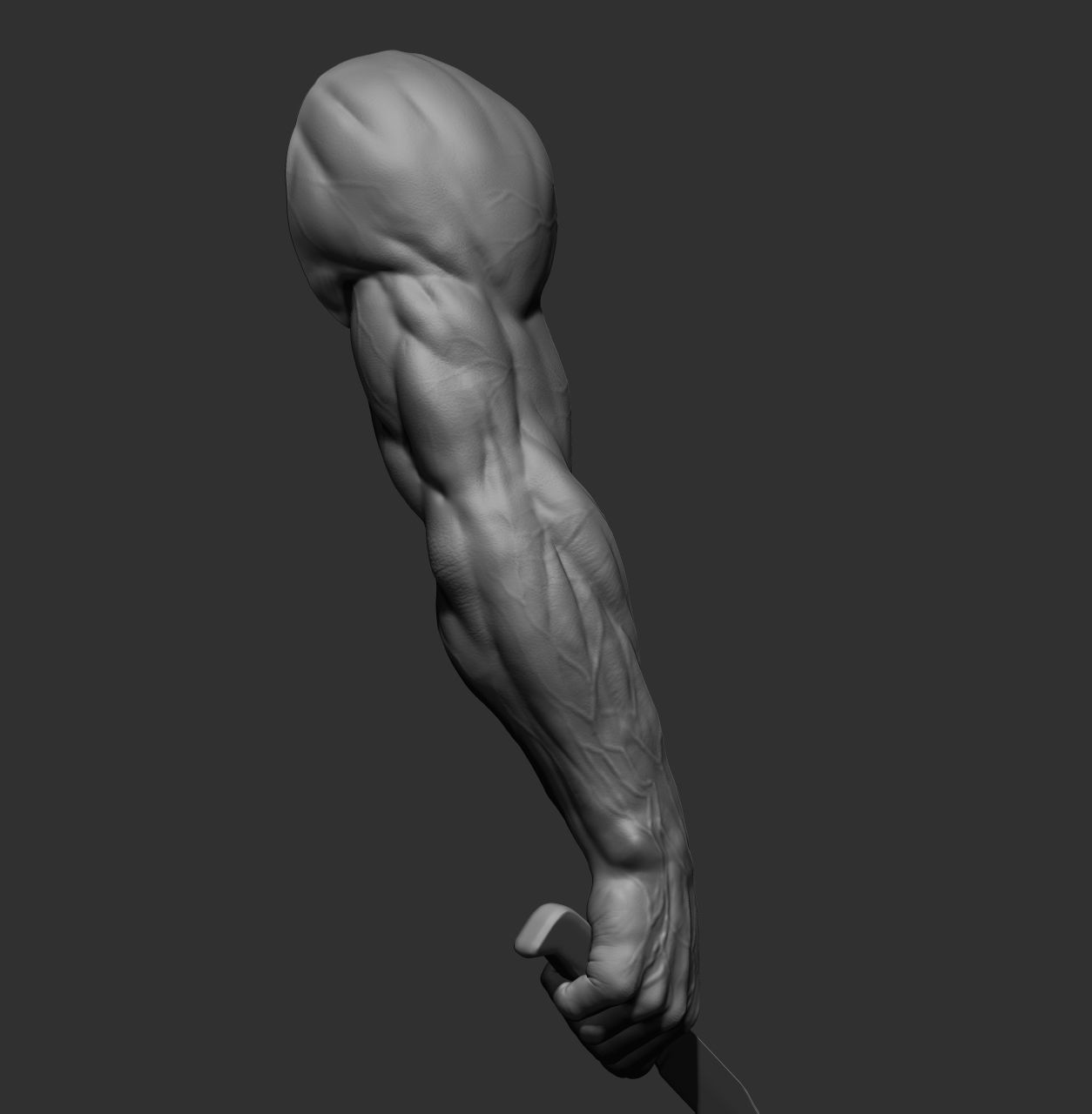 12 male arms 3D model_19
