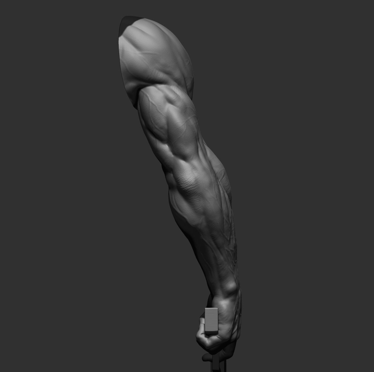 12 male arms 3D model_23