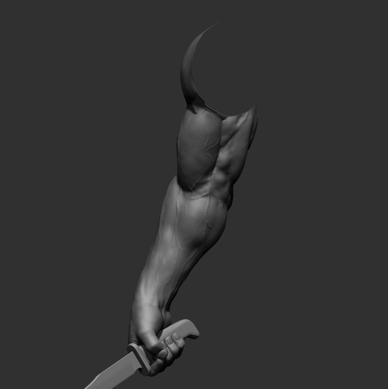 12 male arms 3D model_17
