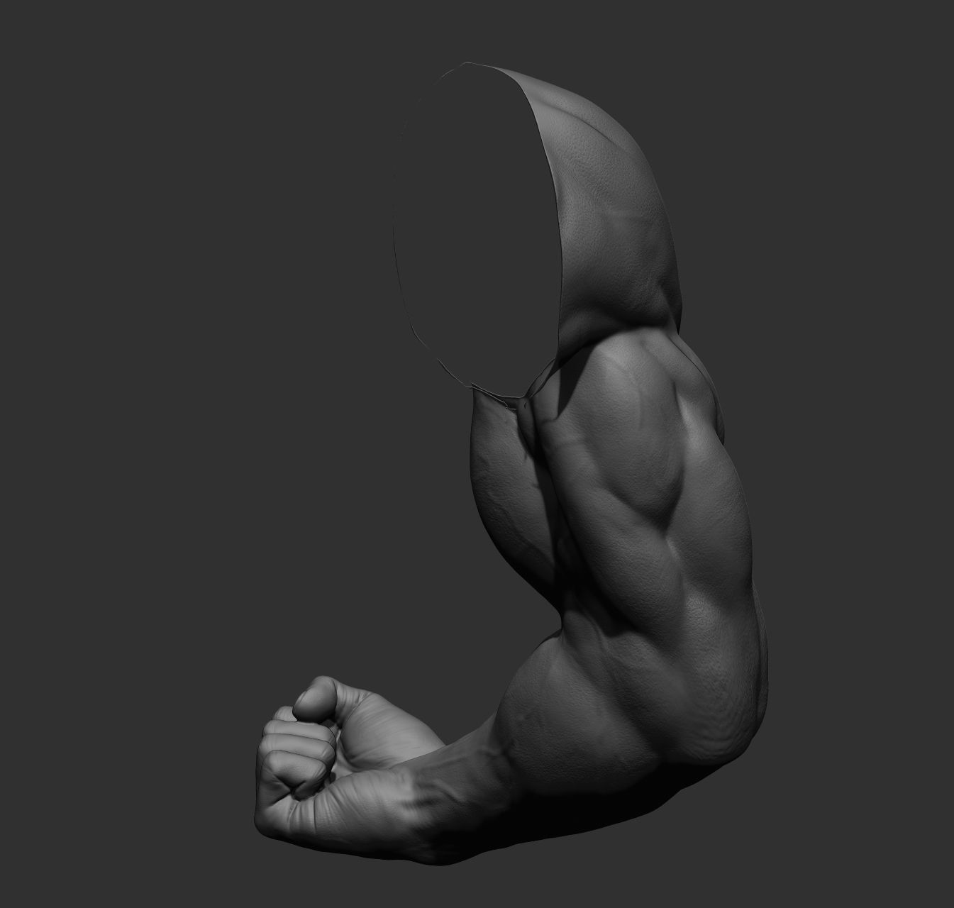 12 male arms 3D model_49