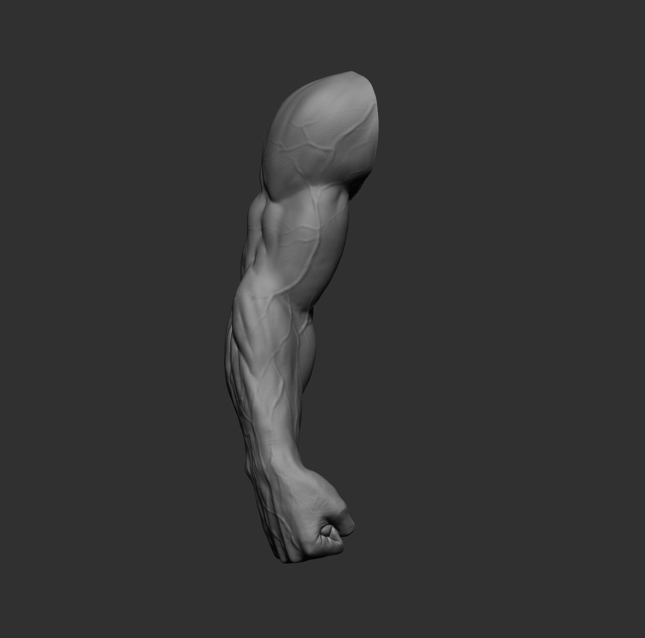 12 male arms 3D model_13