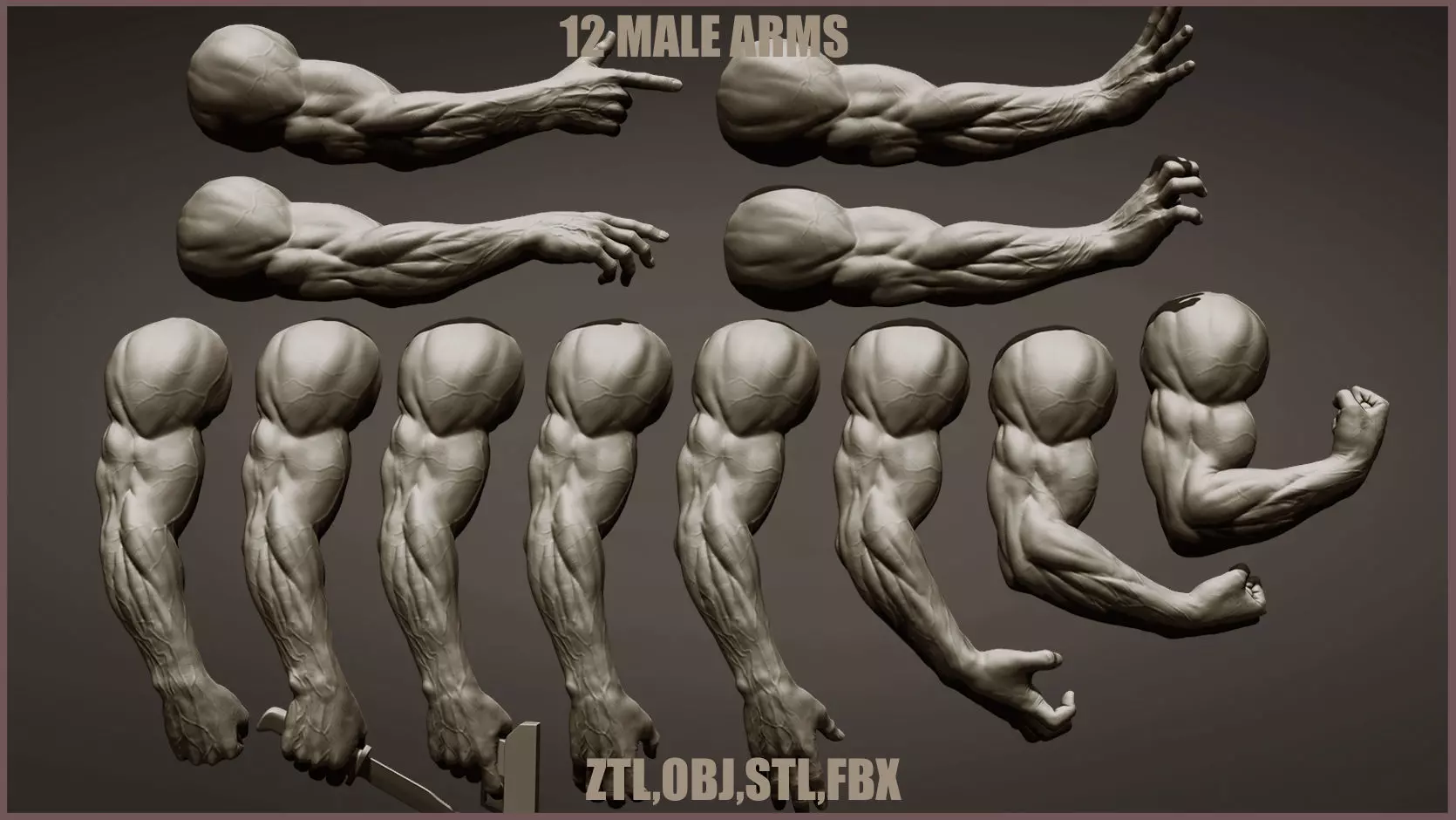 12 male arms 3D model_0