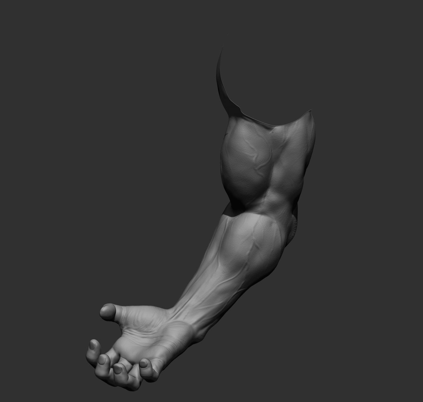 12 male arms 3D model_41