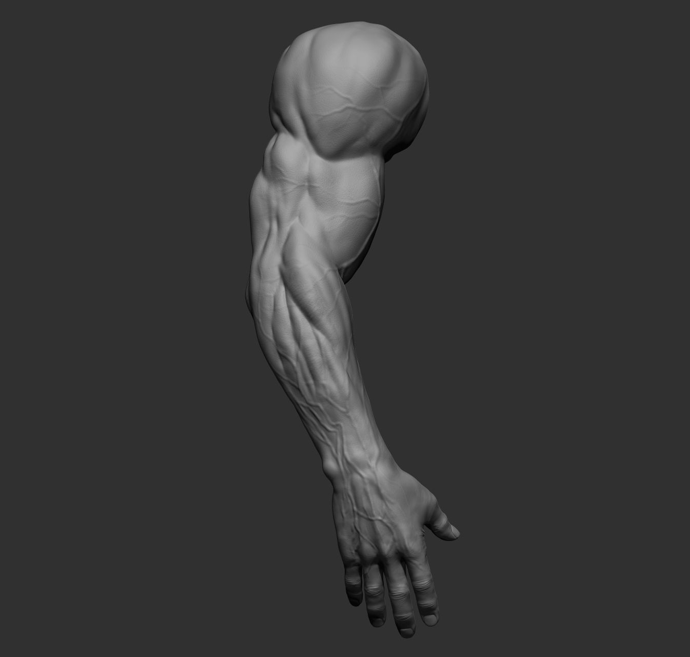 12 male arms 3D model_33